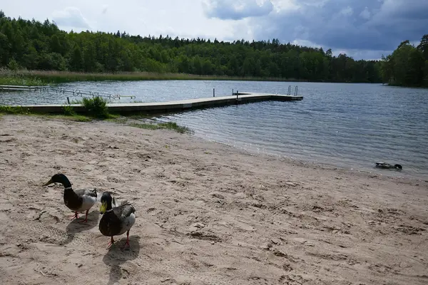 Rösjöbadet